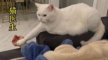 猫咪：兄弟，你这肾亏有点严重啊