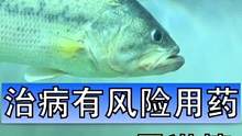 之前养小鱼比较多，所以很少用药，大部分时候把水养好就行了，但是这次比较严重啊，希望五天以后能够药到病