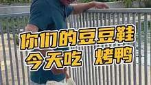 你们的豆豆鞋今天吃 烤鸭#鳄珍 #921好物节