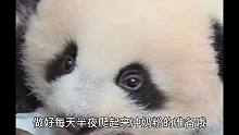 如果你家养了一只熊猫宝宝，那么一天你都会忙些什么？