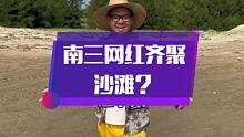 南三网红齐聚沙滩，共创大业！