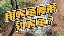 用鳄鱼腰带钓鳄鱼是一种什么体验？我试给你看#鳄珍 