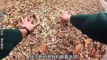 为了不迟到，我每天睡在有猛虎的森林里！ （总） (1)