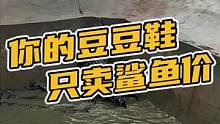 你的豆豆鞋只卖个鲨鱼价#鳄珍 