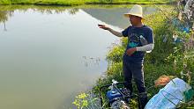 比鱼塘还大的水坑抽水捉鱼，2台抽水机狂抽4小时，抓鱼抓到手软