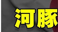 过街老鼠，人人喊打的犹太人，犹太人值得可怜吗？#奇闻异事 #未解之谜 #河豚计划 #犹太人 