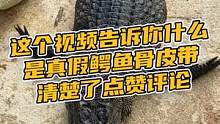 这个视频告诉你什么是真假鳄鱼腰带#鳄珍 