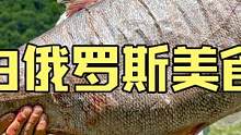 白俄罗斯大山深处乡村夫妇制作户外美食烧烤超大一只胖头鱼 #美食vlog #烤鱼 #户外美食 #民族特