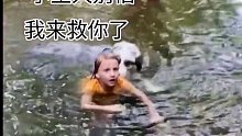 孩子游个泳把毛孩子吓坏了