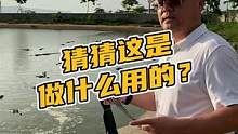 猜猜这是做什么用的？#鳄珍 