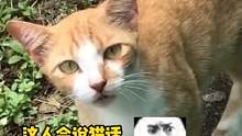 #猫都听楞了  猫咪：这歌我姥姥以前爱听 #猫咪 #搞笑 