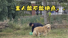 救命，大型犬这么能产出吗？？？