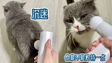一旦小猫咪尝试过筋膜枪的快乐......