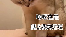 看看就行了，还挑来挑去的