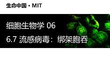 【细胞生物学】6.7 流感病毒：绑架胞吞