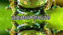 这些蛙叫声你听过几次