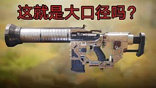 这是大口径吗？？