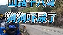 翻山越岭！车和人都给力，狗狗居然吓尿了 #带着狗狗去旅行 #自驾游 #北京bj40 #柴犬