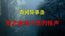 【灵异事件】东北老林子里的怪声  |  鬼故事 | 灵异诡谈 |  恐怖故事 | 解压故事 | 睡前