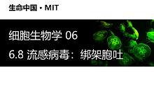 【细胞生物学】6.8 流感病毒：绑架胞吐