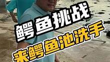 鳄鱼挑战，在鳄鱼池洗手#鳄珍 #挑战自己突破自己 