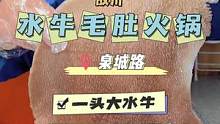 一只大水牛！三份脆毛肚！老苏带你来一探究竟！#苏木生  #国庆假期念念不忘的小店 #探店评价征集令 