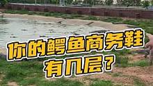 你的鳄鱼商务鞋，有几层？#鳄珍 