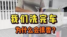 为什么洗完车是香的，就是这个差Y化洗车设备