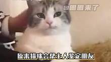 #原来猫咪会帮主人鉴定朋友  好像是这样我家猫对我不喜欢的人也不亲近（来源：璐PP)