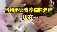 你们爸妈也这样吗？#猫咪 #萌宠 #好温馨的画面 #万万没想到 #评论区看看你们的猫