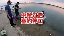 中秋过后夜钓为什么容易停口？看完这个视频就会有答案了