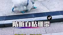 出门脚脏又穿不住鞋的狗狗，可以试试这款柔软透气的自粘绷带哦#比熊 #狗狗 #萌宠好物