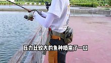 （17）钓鱼人的夏天是从盘老板开始 结束宅家去感受夏天