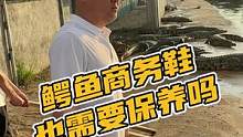 鳄鱼商务鞋也需要保养嘛#鳄珍 