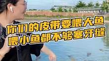 你们的皮带要喂大鱼，喂小鱼都不够塞牙缝的#鳄珍 