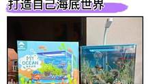 这是小朋友自己就能搞定的#生态缸，哇塞，这也太梦幻了，观察植物生长，体验养鱼的乐趣#益智玩具#养鱼日