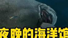 夜晚的海洋馆是怎样的？ #医生鱼 #海洋馆 #石斑鱼