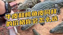 牛腰带和鳄鱼腰带同样的价格你会怎么选#鳄珍 