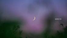 #摄影 初三的月亮#取景器里的世界 #随拍 #随手拍 