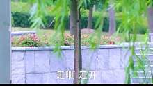 点击上方（红色按钮）可免费看完整版哟！后续精彩了~ fjz0929