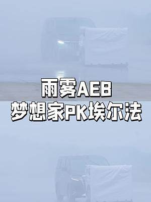 “地獄”難度，雨霧AEB測試，夢想家PK埃爾法，貴的真更安全？#車知識分享計劃 