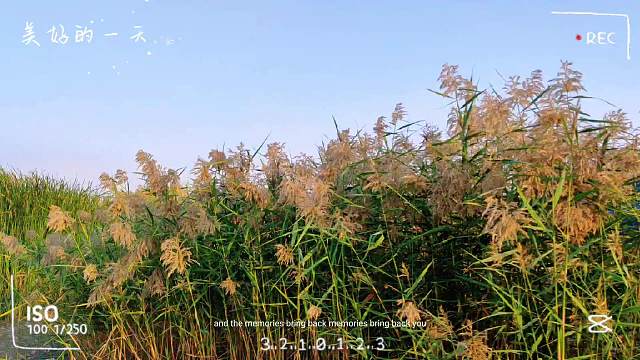 美好一天不期而遇，在最美的秋季遇见你