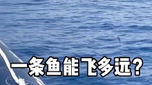 飞鱼：我一口气差点憋死