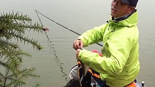 桃花林狂拔翹嘴。釣魚 釣魚技巧 快樂垂釣湖庫拉力賽