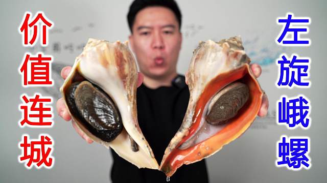 试吃左旋峨螺，据说这个壳价值连城，赚大了