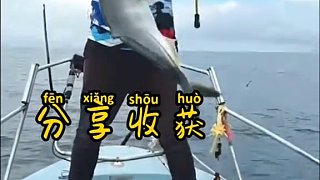 普吉島快速抽鐵板，快速的抽呀抽，中魚后手感也不錯哦