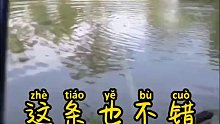 鱼淡水鱼淡水，这条也不错