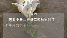 贫血(二十四)