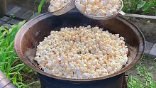 在菜园里用玉米粒做了一大锅爆米花