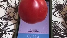 水果手机电子称